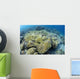 Coral Bleaching Shallow Hard Wall Decal
