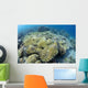Coral Bleaching Shallow Hard Wall Decal