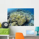 Coral Bleaching Shallow Hard Wall Decal