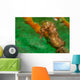 Thorny Seahorse Hippocampus Hystrix Wall Decal Design 1
