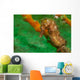 Thorny Seahorse Hippocampus Hystrix Wall Decal Design 1