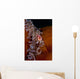 Pink Anemonefish Swims Magnificent Wall Decal
