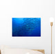 Schooling Chevron Barracuda Wall Decal Design 2