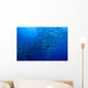 Schooling Chevron Barracuda Wall Decal Design 2