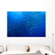 Schooling Chevron Barracuda Wall Decal Design 2