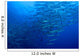 Schooling Chevron Barracuda Wall Decal Design 2
