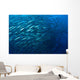 Schooling Chevron Barracuda Wall Decal Design 1