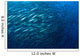 Schooling Chevron Barracuda Wall Decal Design 1