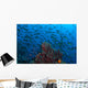 Sponge with Hovering Anthias Wall Decal