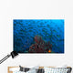 Sponge with Hovering Anthias Wall Decal