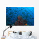 Sponge with Hovering Anthias Wall Decal