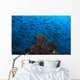Sponge with Hovering Anthias Wall Decal
