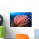 Anthias Fish Hover over Wall Decal Design 1