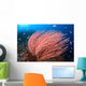 Anthias Fish Hover over Wall Decal Design 1