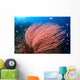 Anthias Fish Hover over Wall Decal Design 1