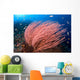 Anthias Fish Hover over Wall Decal Design 1