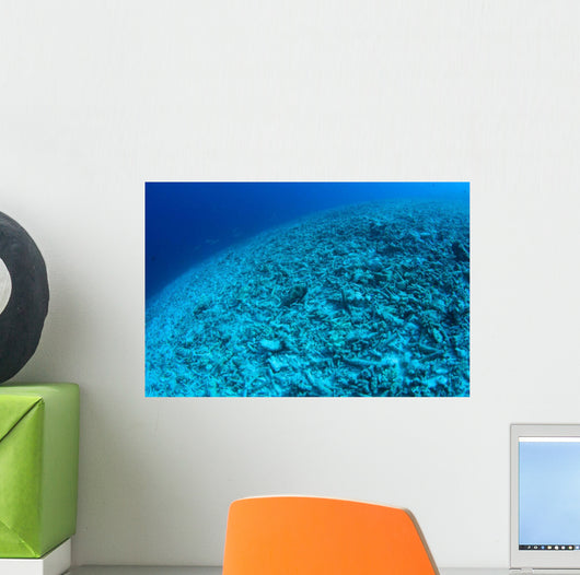 Completely Destroyed Reef Due Wall Decal Design 2