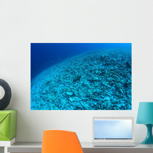 Completely Destroyed Reef Due Wall Decal Design 2