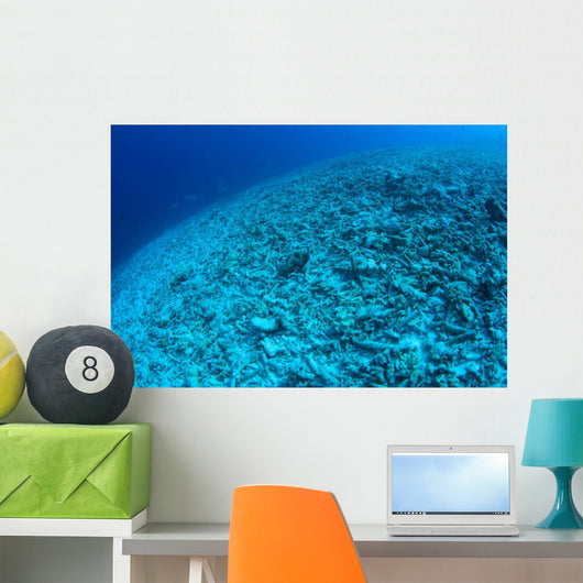 Completely Destroyed Reef Due Wall Decal Design 2
