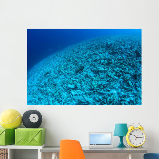 Completely Destroyed Reef Due Wall Decal Design 2