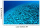 Completely Destroyed Reef Due Wall Decal Design 2