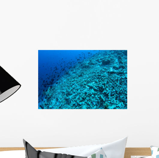 Completely Destroyed Reef Due Wall Decal Design 1
