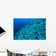 Completely Destroyed Reef Due Wall Decal Design 1