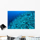 Completely Destroyed Reef Due Wall Decal Design 1