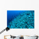 Completely Destroyed Reef Due Wall Decal Design 1