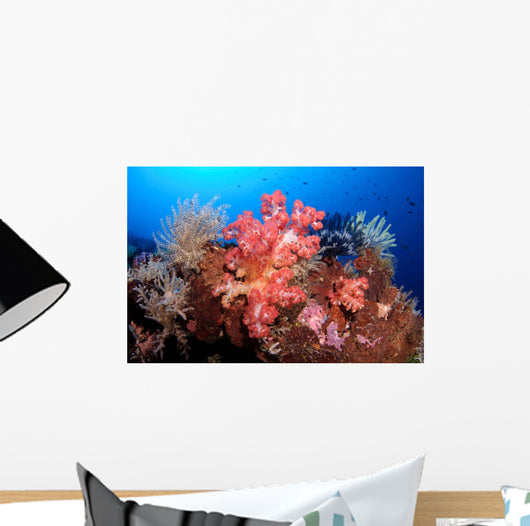 Soft Corals and Crinoids Wall Decal