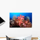 Soft Corals and Crinoids Wall Decal