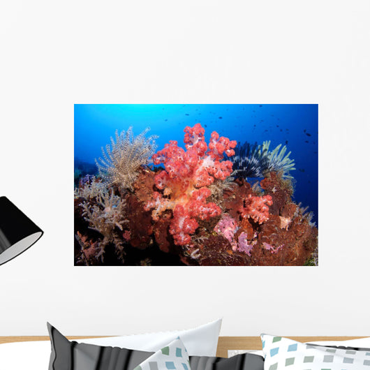 Soft Corals and Crinoids Wall Decal