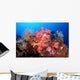 Soft Corals and Crinoids Wall Decal