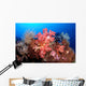Soft Corals and Crinoids Wall Decal