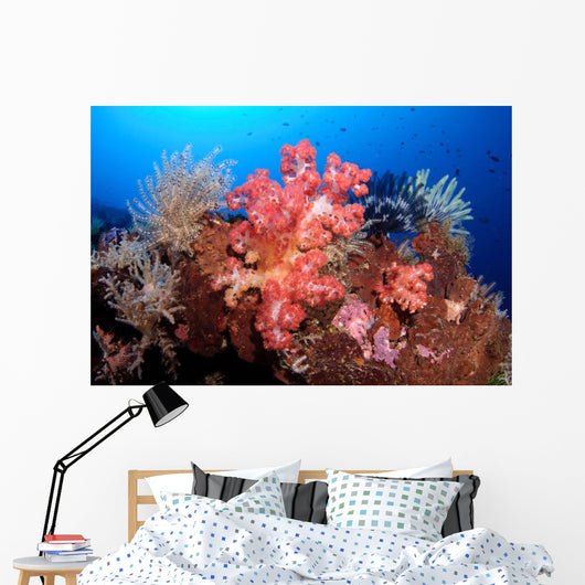 Soft Corals and Crinoids Wall Decal