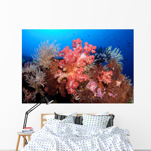 Soft Corals and Crinoids Wall Decal