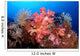 Soft Corals and Crinoids Wall Decal