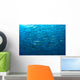 Schooling Chevron Barracuda Indonesia Wall Decal Design 4