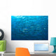 Schooling Chevron Barracuda Indonesia Wall Decal Design 4