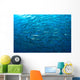 Schooling Chevron Barracuda Indonesia Wall Decal Design 4