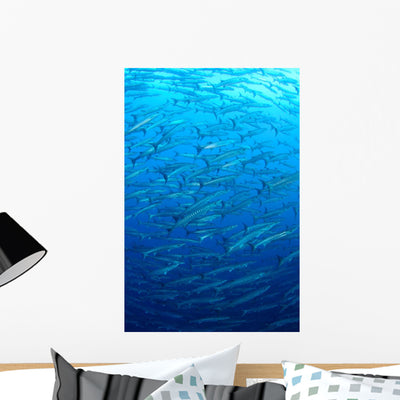 Schooling Chevron Barracuda Indonesia Wall Decal Design 3 shown on a wall