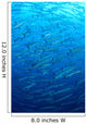 Schooling Chevron Barracuda Indonesia Wall Decal Design 3