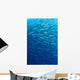 Schooling Chevron Barracuda Indonesia Wall Decal Design 2