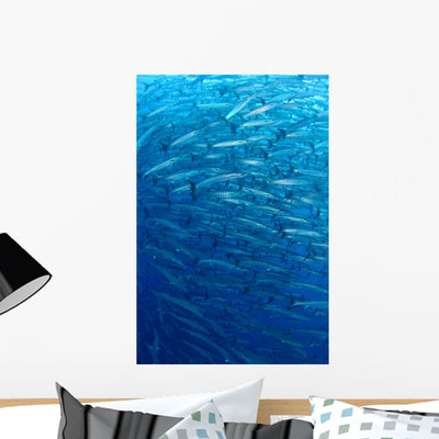 Schooling Chevron Barracuda Indonesia Wall Decal Design 2 shown on a wall