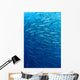 Schooling Chevron Barracuda Indonesia Wall Decal Design 2