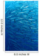 Schooling Chevron Barracuda Indonesia Wall Decal Design 2