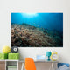Sunrays Shine down Anthias Wall Decal