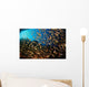 Schooling Fish Spice Islands Wall Decal Design 2