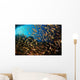 Schooling Fish Spice Islands Wall Decal Design 2