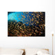 Schooling Fish Spice Islands Wall Decal Design 2
